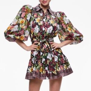 NWT Alice and Olivia Tiffie Dress